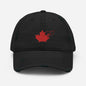 "TNS Maple Leaf" Distressed Dad Hat by TNS