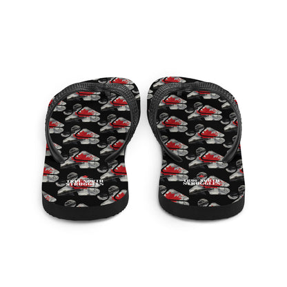 S1 Flip-Flops