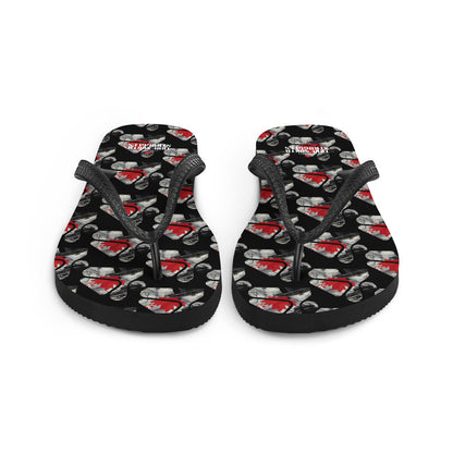 S1 Flip-Flops